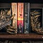 Dragon Emerging Book Nook