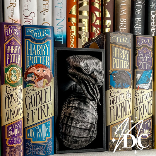 HP Inspired Serpent Book Nook